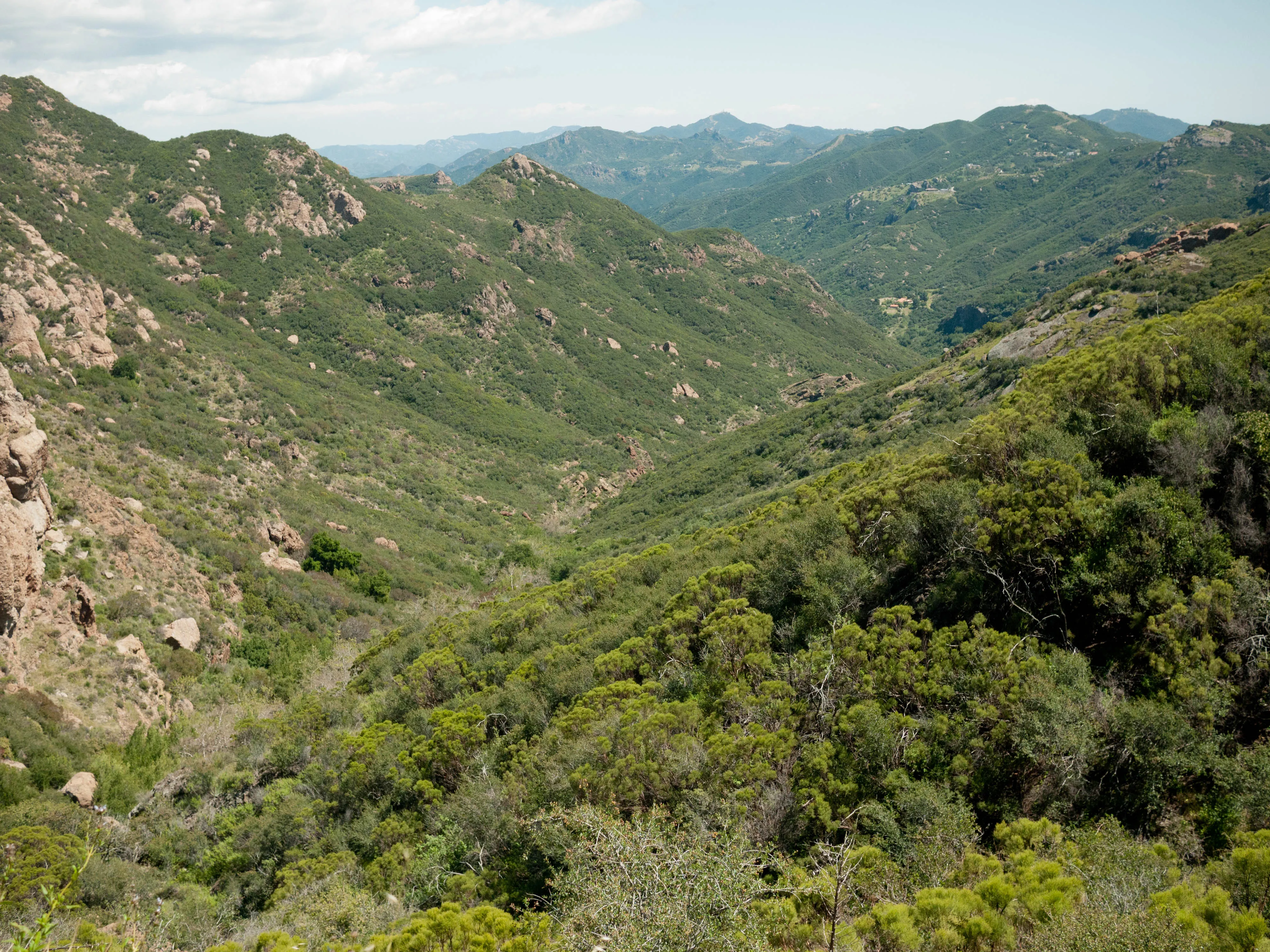 Rolling hills landscape